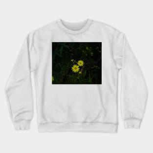 relaxing your eyes Crewneck Sweatshirt